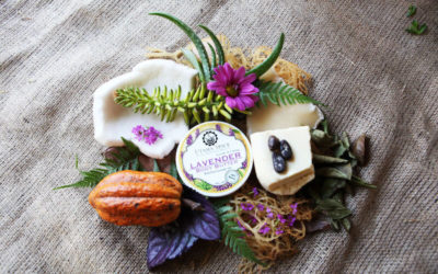 Lavender: Purify & Balance
