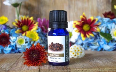 Clove