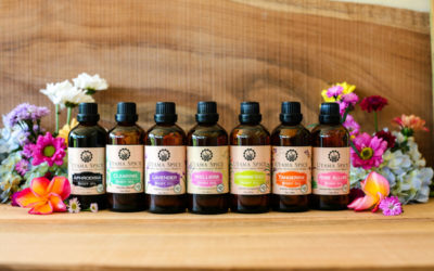 Soya Oil