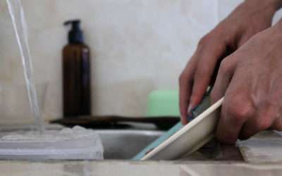 Common Bacteria In Our Homes