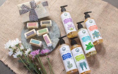 A Lesson In How To Choose The Right Liquid Soaps