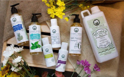 Why Bali Skin Care Does Not Use Palm Oil
