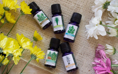 How Are Essential Oils Absorbed Into The Body?