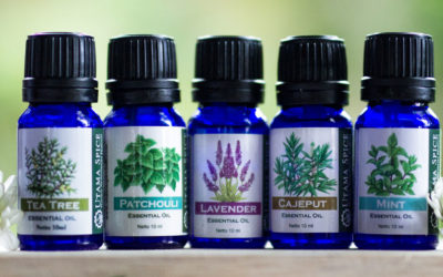 What You Need to Know Before Ingesting Essential Oils