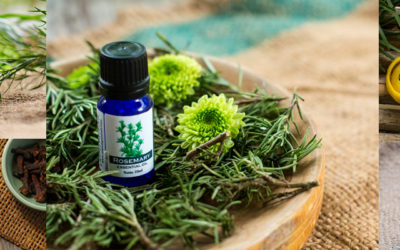 Essential Oils For Cleaning And Deodorizing The Home