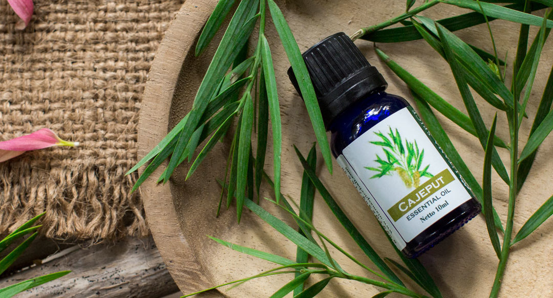 What Is Cajeput Essential Oil?