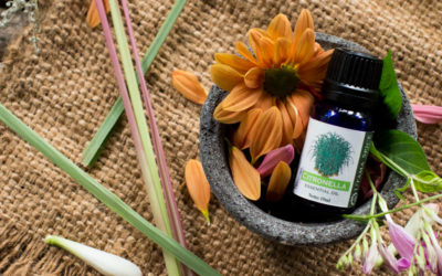 The Many Uses Of Citronella Essential Oil