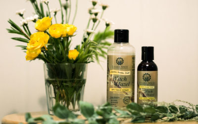 Benefits and Uses of Witch Hazel