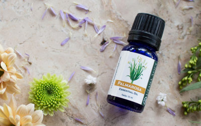 Palmarosa Essential Oil Its Use and Benefits 