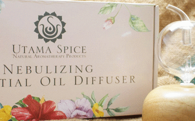 Essential Oil Diffuser Benefits: Our Insights