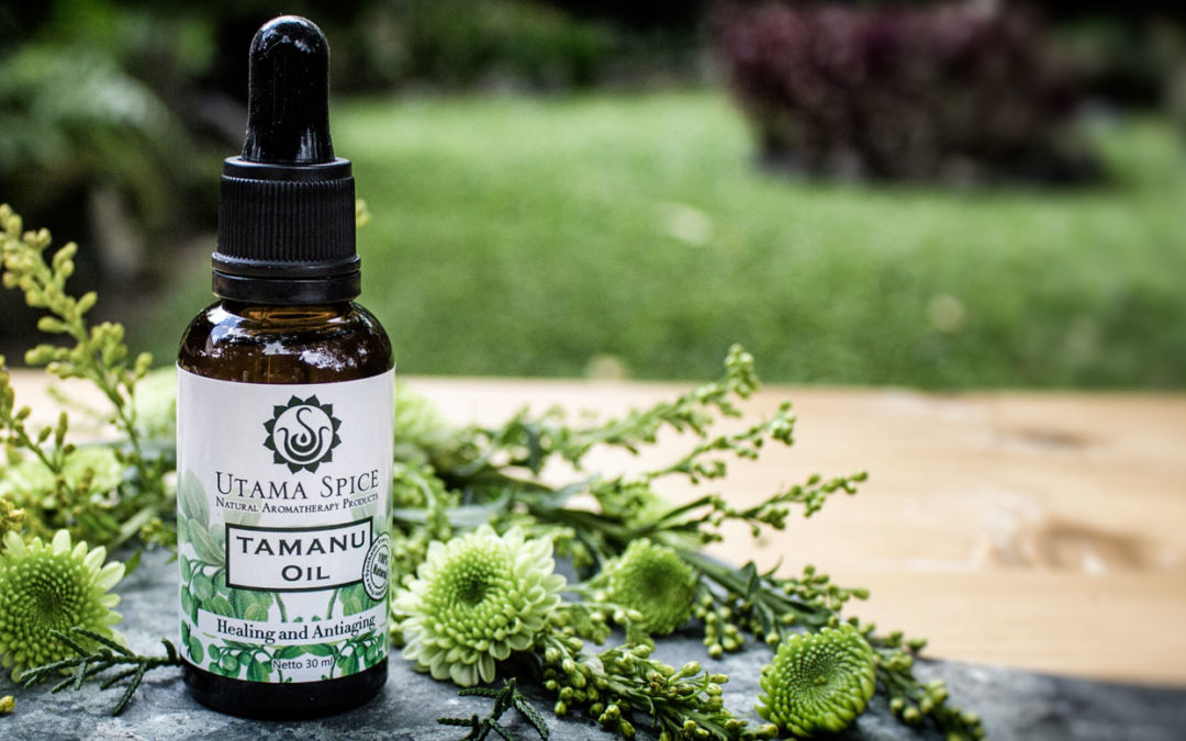 Tamanu Is The Miracle Oil You Haven’t Heard Of Yet