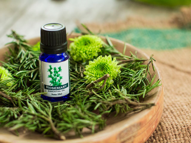 rosemary utama spice essential oil aromatherapy massage wellness spa