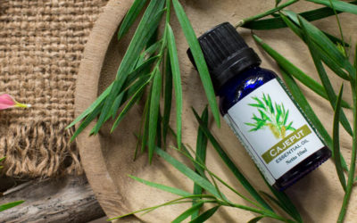 Best Natural Skincare Brands & Products