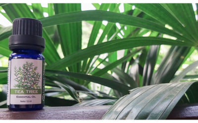 Tea Tree as a Natural Remedy