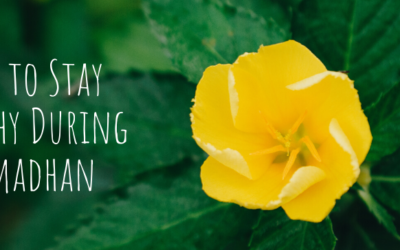 How to Stay Healthy During Ramadan