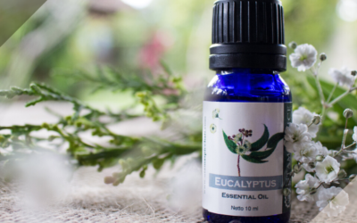 Eucalyptus Essential Oil