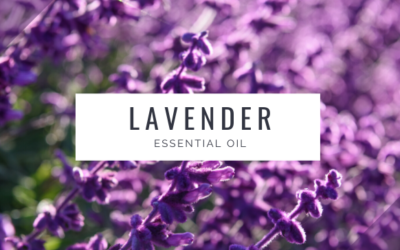 Lavender Essential Oil