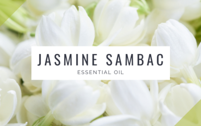 Jasmine Sambac 3% in Jojoba Oil