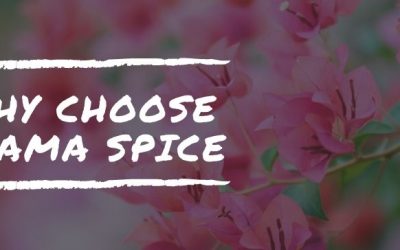 Why Choose Utama Spice?